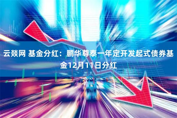 云燚网 基金分红：鹏华尊泰一年定开发起式债券基金12月11日分红